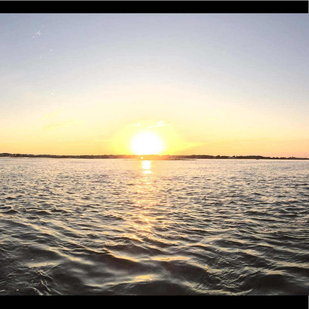 Meet your Posher, Tabby